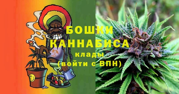 сатива Бронницы