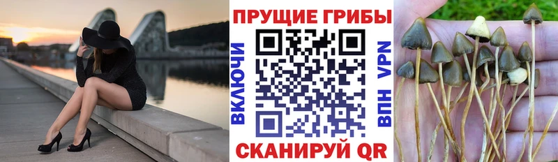 Галлюциногенные грибы мухоморы  продажа наркотиков  Раменское 